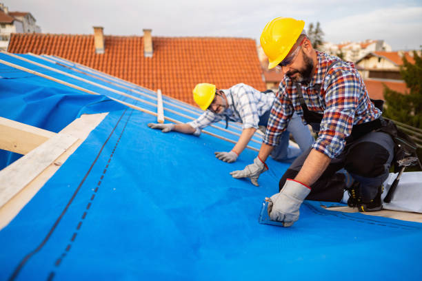 Best Roof Gutter Cleaning  in Licking, MO